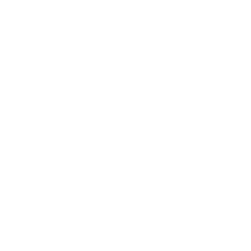 IIA_logo_blanco